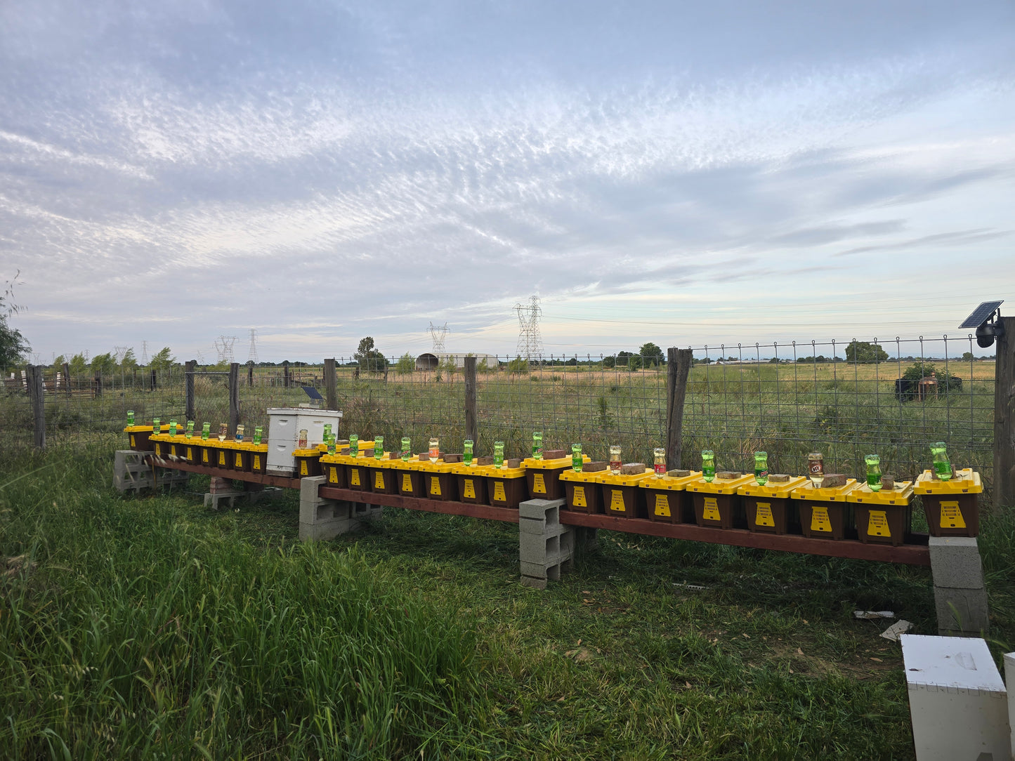 2026 NUC Bee Colonies *pickup only*
